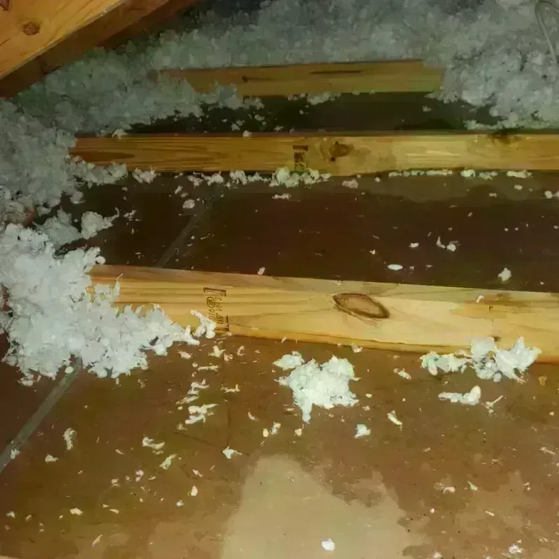 Attic Water Damage in Waller, TX